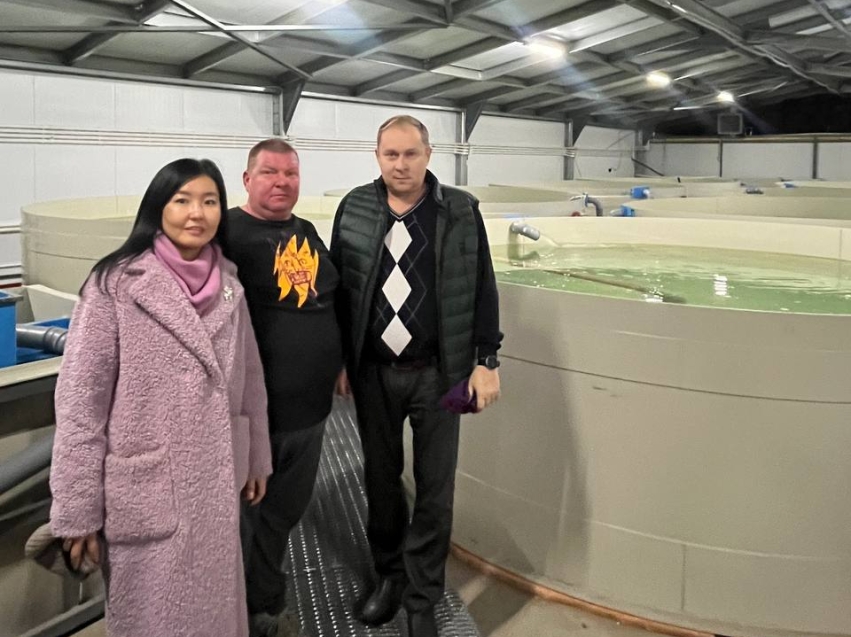 Свежий, вкусный, доступный: в Чите при участии государственной поддержки начали выращивать осетра 